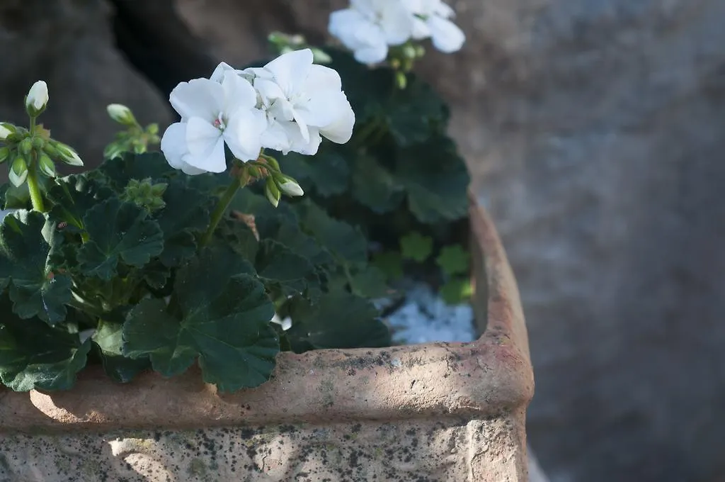 Addumari Villa Palermo Holiday home
